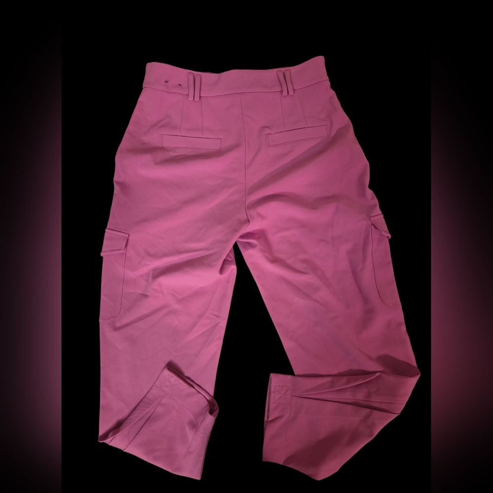 Express Vibrant Pink Pants Size 8R - Picture 3 of 5